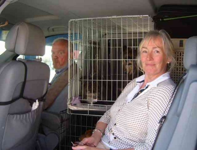 Rita, Brian & Molly, on their way from Estepona, Spain to Dublin.