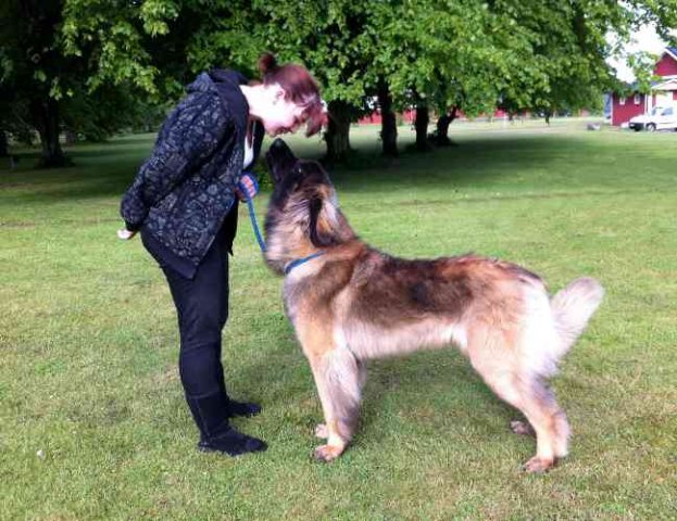 Laura and Terror taking a break together in Denmark, on their journey from Sweden to Cambs, UK.