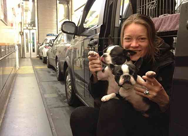 Caroline, Kali and Coco in the Eurotunnel, on their journey from Marbella in S.Spain to London.