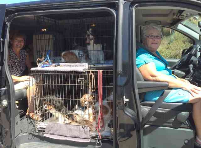 Sheila and Bobs, Barbara and her 9 'kids' all headed from Spain to the UK.