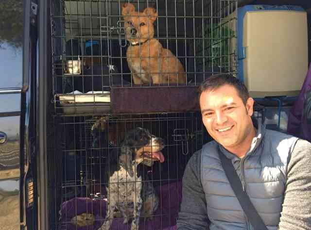 Antonio with Leo and Lola, on their journey from Ibiza to Cornwall.
