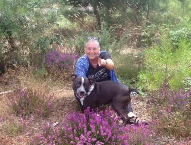 Max and Junior enjoying a walk in the heather in S.W.France, on their way from La Cala de Mijas in S.Spain to London.