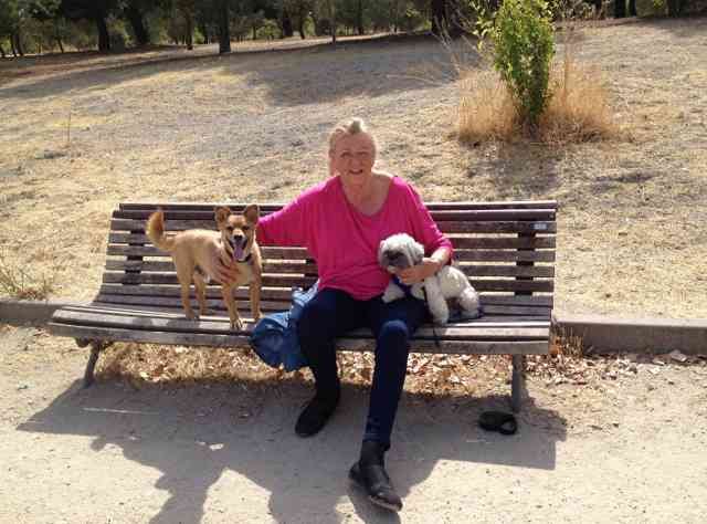 Gillian and Willow enjoying a break, in a park south of Madrid, on their journey from Sharnbrook in Beds to Mojácar in Spain.