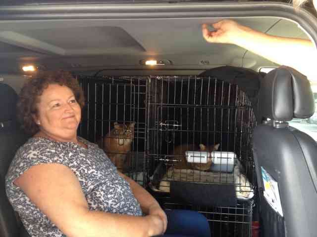 Christine with Sassy and Cleo, on their journey from Barcelona to Moraira in Spain, having flown over from Singapore.