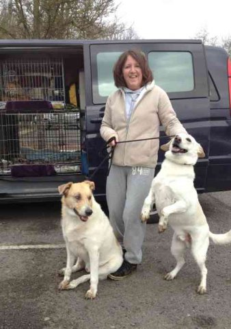 Sarah, Eric & Jasper, having just been for a muddy walk, upon their return to England, from Catral in Alicante, Spain.