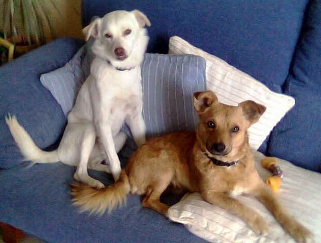 Rubi and Julio chilling-out at home.