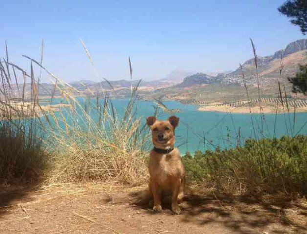 Juli sitting in the welcome shade, beside a lake in Málaga, Spain.