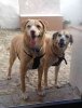 Cond and Sophie, having travelled from Lisbon, they've just arrived at their new home in Mallorca.