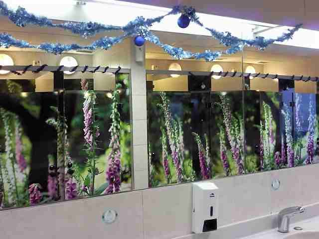 Xmas decs in the ladies loo, in a service station in France! 
