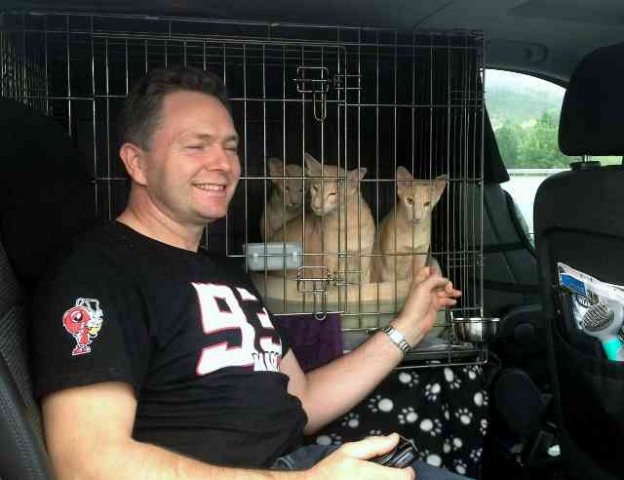 Steve with Riga, Kruga and Asti, on their way from Norwich to Iznájar in southern Spain.