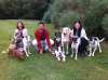 Anna, Jose, Lola and their 'four-legged-friends' having a break, on their journey from southern Spain to the UK.