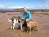 Minnie, with Poppy & Toffee, having just arrived from Javea in Spain, to their new home in N.Berwick, Scotland.
