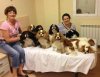 Barbara and Charlotte, with Jasper, Blossom, Theo, Gerrard, Honey, Annabelle, Saffy, Twinkle, Beatrice and Florence in the Spanish hotel, on their journey from Leigh-on-Sea in Essex to Javea in Spain.