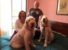 Barbara, Guy, Chester and Deva in the hotel room in N.Spain on their journey from Marford in N.Wales to Zaragoza in Spain.