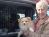 Janet with Gysmo & Daisy, on their way from Manilva in southern Spain to Weymouth.