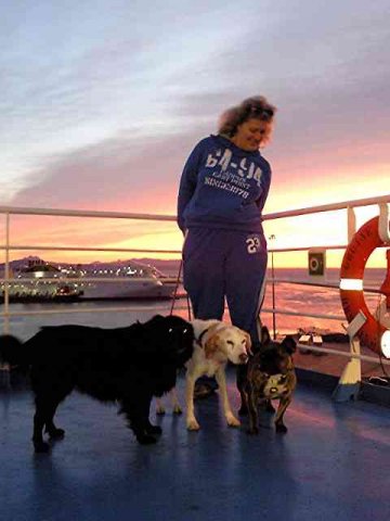 Deborah, Peggy, Dora & Tilly on board the ferry in Greece, en route from N.Cyprus to France.