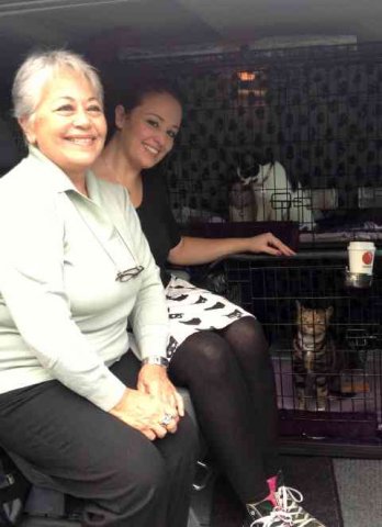 Alessandra, with mum, Fluffy, Elvis & Toffee, on their way from Naples to London.