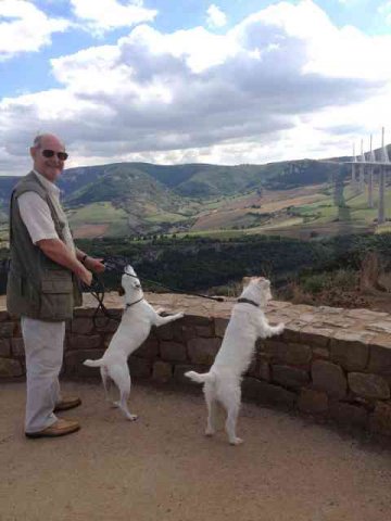Malcolm, Loopy & Sassy, taking in the view of the Millau Viaduct, on their journey from Charlwood in Surrey to Mojacar in Spain.