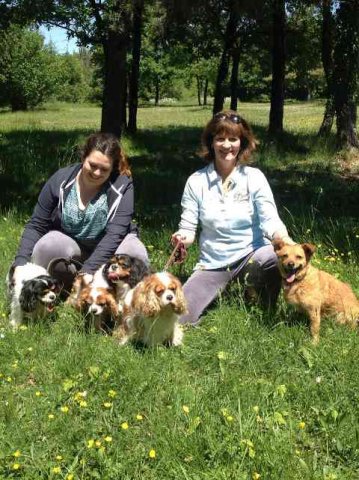 Barbara and Charlotte with four of the Cavs, and Julio, enjoying a walk in the French sunshine, on their way from Essex to Javea, Spain.