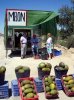Tony, Sheila & Gizmo buying a melon on the road to Madrid, en route to Ireland from Benalmadena in S.Spain.