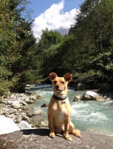 Juli sitting beside a stream near Mont Blanc in France.