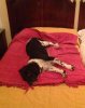Fern, stretched out on the hotel bed in northern Spain, on her way from Gibraltar to join her family in Ruislip, UK.