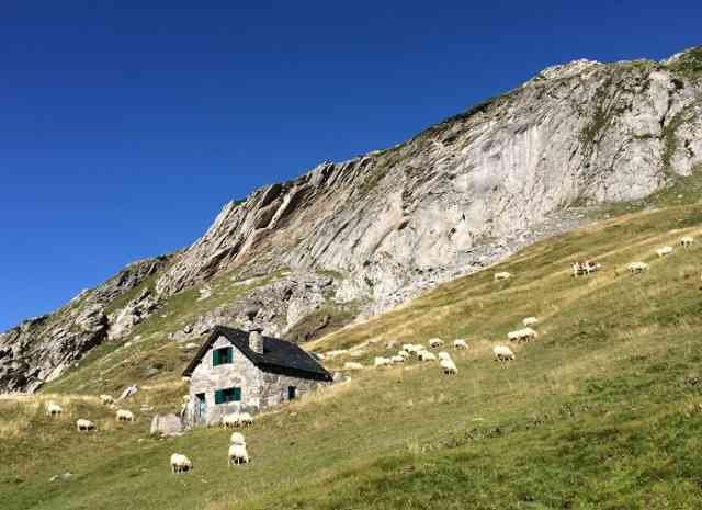 A little cottage in The Pyrenees.