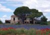 An old ruined house south of Madrid - beautiful in May, with all the alkanet and poppies in front.