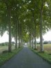 A pretty little tree-lined road in mid-France.