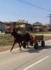A working horse and cart, in Svilengrad, Bulgaria.
