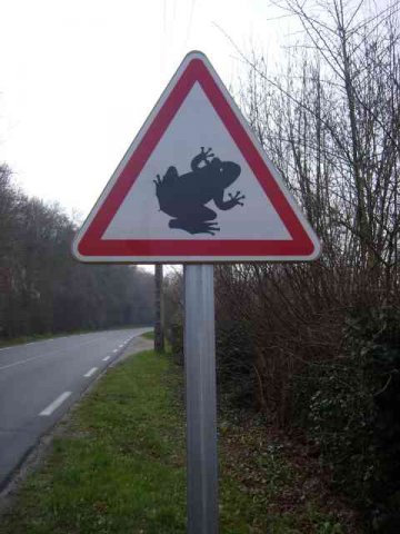 Beware of frogs! Nr Orleans, France.